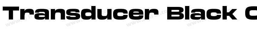 Transducer Black Con字体转换 Transducer Black Con字体转换